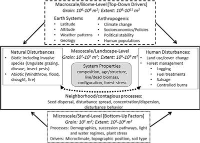 Understanding and Modeling Forest Disturbance Interactions at the Landscape Level